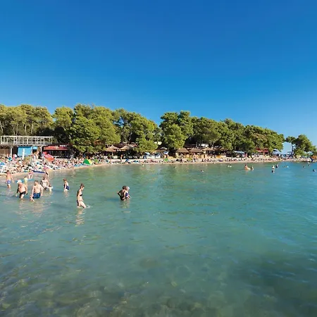 Pet Friendly In Radasinovci * Drliceve Kuce
